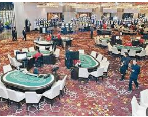 旺财28APP电脑免费版